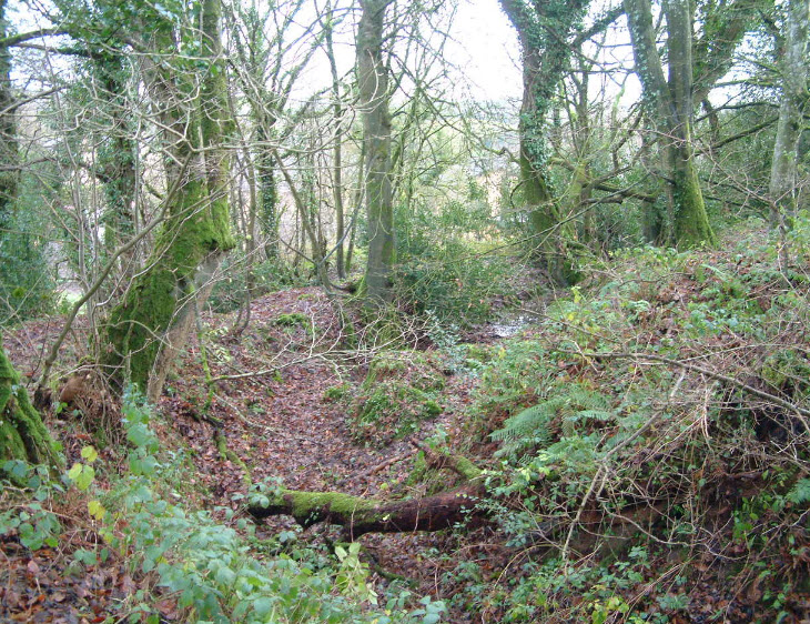 Ballyallaban Earthen Ringfort, Ireland